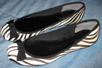 zebra.jpg