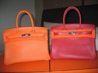 2 birkins b.jpg