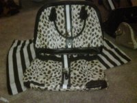 cheetah.jpg