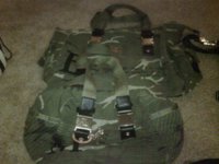 ls camo.jpg