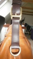 P9100083 (144 x 256).jpg