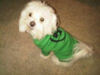 IMG00073-20100907-2226.jpg