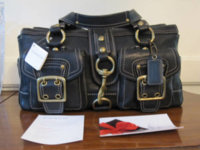 Coach10330.jpg