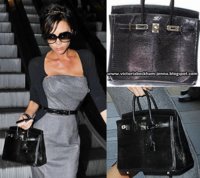 LizrdBirkin25cm.jpg