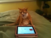BINPaw.JPG