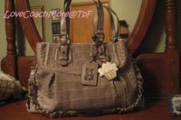 madisoncarryall 004.JPG