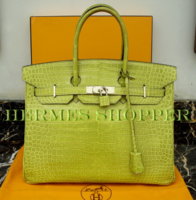 Birkin35 Croco Porosus Vert Anis J stamp Silver hw.jpg