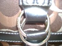 buckle.JPG