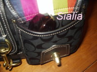 Mandy front pocket, with sunglasses.jpg