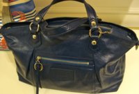 SPRING NAVY POPPY.jpg
