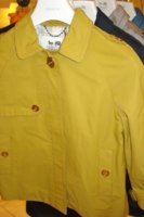 SPRING YELLOW COAT.jpg