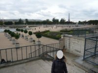 Paris3.jpg