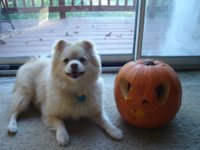 pumpkin2.jpg