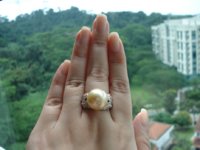 GoldenPearlRing1.jpg