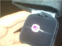 purple3.jpg purple3.jpg