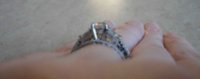 DSC03286.jpg
