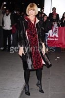 Anna Wintour 2010 93173711.jpg
