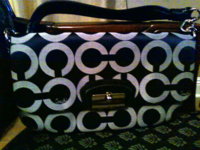 Kristin purse picture.jpg