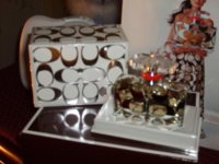 coachpic230607.JPG
