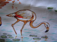 flamingo white.JPG