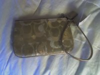 optic wristlet.JPG