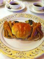 Hairy Crab 003.jpg