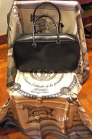 Couvertures George V Ltd Edt Carre with Black Box Plume Elan 1.jpg