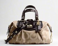 coach_bag_website.jpg