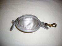 Silver boobie!.JPG