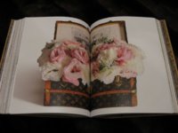 IMG_8822.jpg