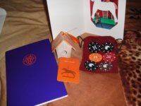 DSC02319achip.jpg