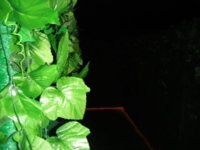DSC02265a.jpg