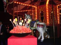 DSC02273a.jpg