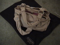Coach 010.jpg