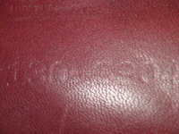 PICT0208.JPG