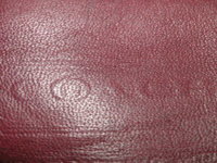 PICT0214.JPG