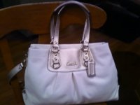 Ashley purse pic.JPG