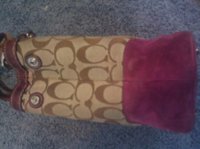 IMG_20101209_125355.jpg
