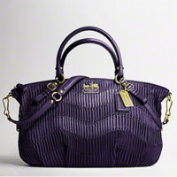 Coach-Carryalls-23.jpg