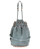 bagcraze_wang_spring2011_7.jpg
