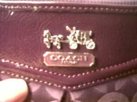 IMG00039-20101219-0030.jpg