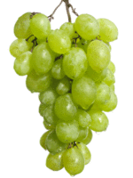 bunch-green-grapes-image.gif