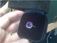 purple4.jpg