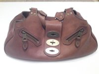 mulberry1.JPG