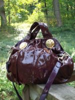 pumpkin bag pics 048.JPG