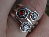zzzzzzzzzzzzzzringring.jpg
