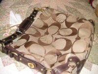 PICT0304.JPG