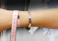 Cartier Measurement 2 copy.jpg