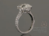 r1031_052Ww.jpg
