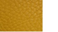 mustard.jpg